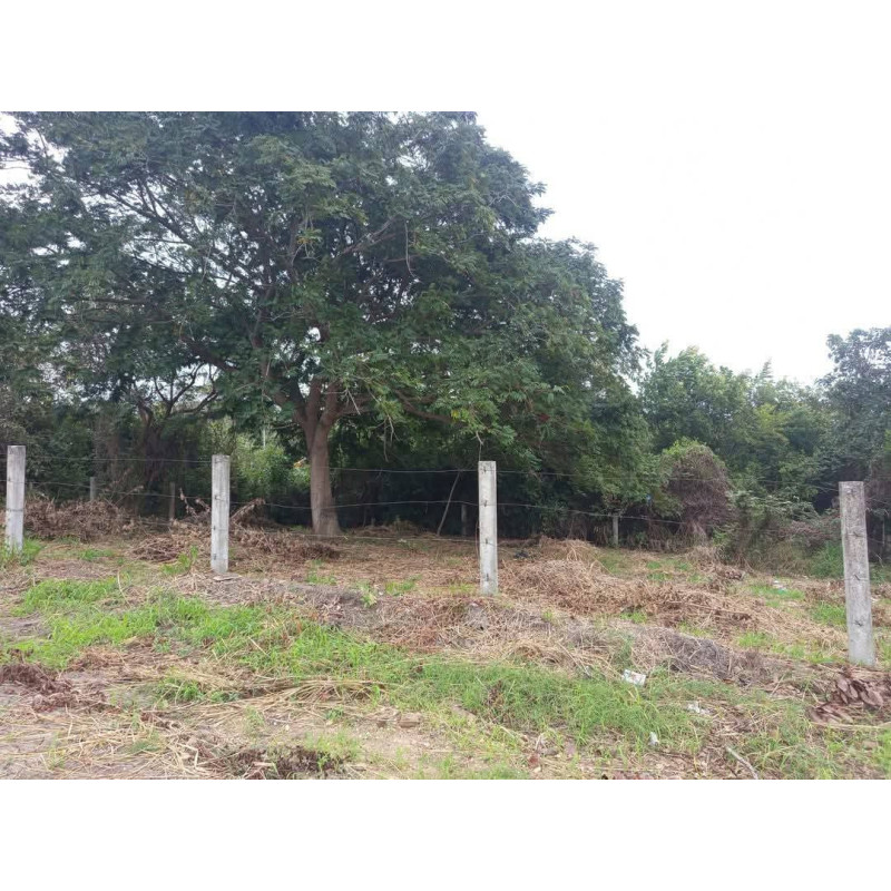 VENTA DE TERRENO EN TUXPAN VERACRUZ