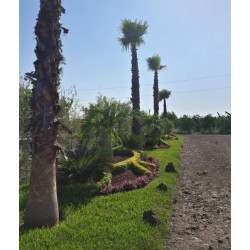 TERRENO EN RESIDENCIAL KUENCHAL-JA