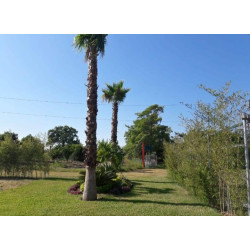 TERRENO EN RESIDENCIAL KUENCHAL-JA