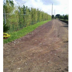 TERRENO EN RESIDENCIAL KUENCHAL-JA