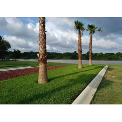 🏡✨ Kuenchal-ja – Residencial a Orillas del Río Tuxpan ✨🏡