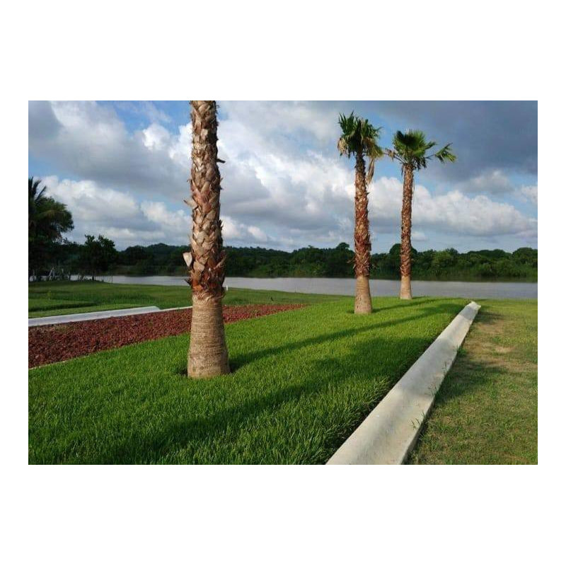 🏡✨ Kuenchal-ja – Residencial a Orillas del Río Tuxpan ✨🏡