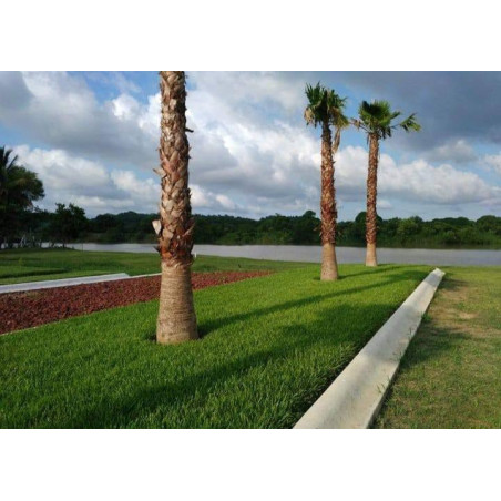 🏡✨ Kuenchal-ja – Residencial a Orillas del Río Tuxpan ✨🏡