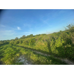 TERRENO EN TUXPAN VERACRUZ