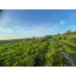 TERRENO EN TUXPAN VERACRUZ