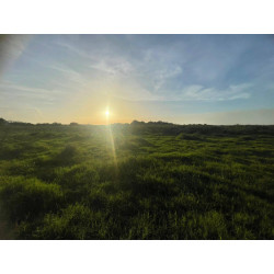 TERRENO EN TUXPAN VERACRUZ