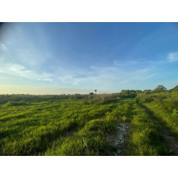 TERRENO EN TUXPAN VERACRUZ