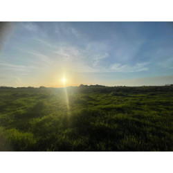 Terrenos de 10 x 20 m