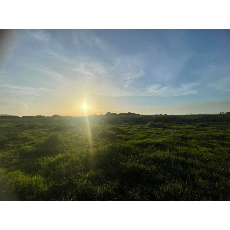 Terrenos de 10 x 20 m