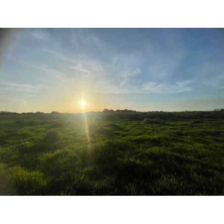 Terrenos de 10 x 20 m